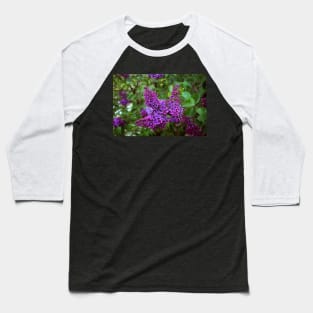 Vivid Purple Lilacs Baseball T-Shirt